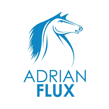 Adrian Flux Insurance Review (2024)